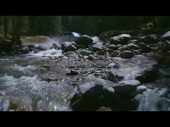 লেপার্ড ৫ পানিতে