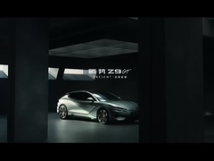 ডেনজা Z9GT