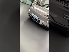 গান প্লাস ইভি