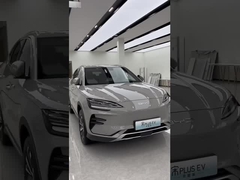 গান প্লাস ইভি