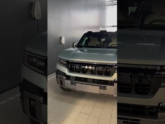 চিতাবাঘ 8