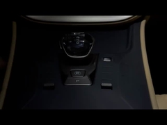 টেংশি ডি৯