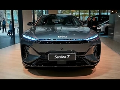 সমুদ্র সিংহ