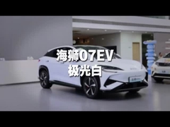 সমুদ্র সিংহ